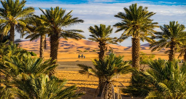 MOROCCO TOURS IN 12 DAYS ITINERARY