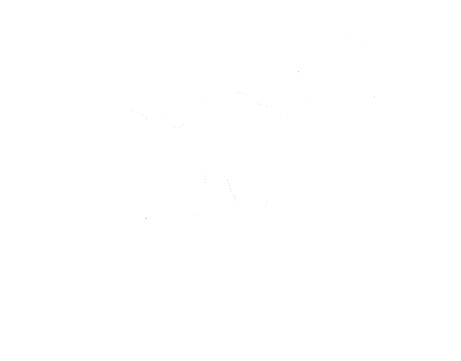 Anyas Travel